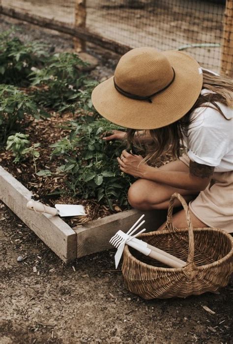 Pin By Sydney Sepulchre On Cottage Core Homesteading Aesthetic Farm