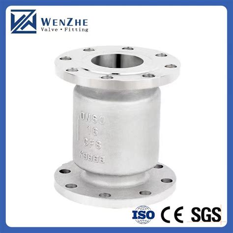 H W P Stainless Steel Flange Vertical Lift Type Check Valve