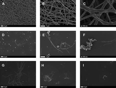 A To C Healthy Fibrin Fiber Structure At Various Machine