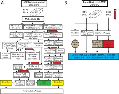 A Representation Of The Suggested Acmg Algorithm For Lynch Syndrome