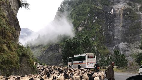 Delhi To Leh Bus Service Started Again By Hrtc Price Schedule