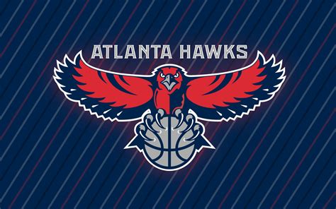 [100+] Hawks Wallpapers | Wallpapers.com