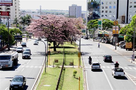 Conhe A Bauru Prefeitura Municipal De Bauru