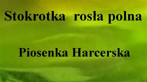 Stokrotka rosła polna Piosenka Harcerska na okrągło przez 1 godzinę