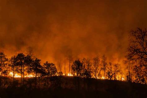 Texas Panhandle Wildfires Continues Scorches Over 1 Million Acres Of Land Second Largest Fire