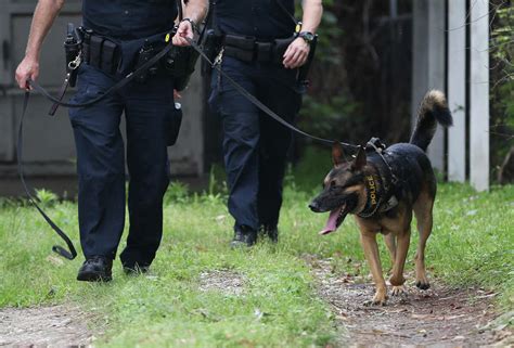 Houston Police K 9 Dies In Hot Car Could It Have Been Prevented