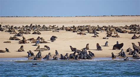 Walvis Bay in Namibia - Is it worth a visit?