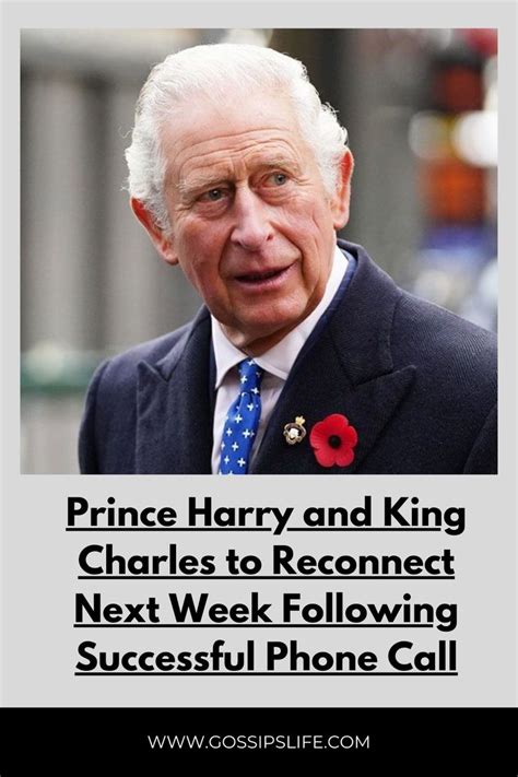 Prince Harry And King Charles Are Reconnecting Next Week Are There Any