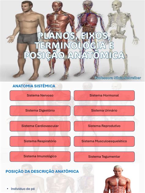 Posição Anatomica Do Corpo - Posição Anatômica e Terminologia Relacionada | PDF | Anatomia | Corpo ...