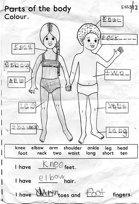 Worksheet Name Formula Hot Sex Picture