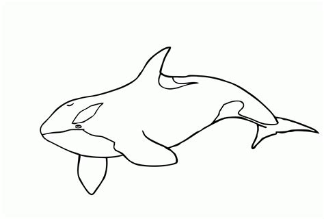 Orca Whale Coloring Page Coloring Home