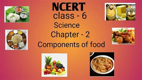 Ncert Class 6 Science Chapter 2 Components Of Food Youtube