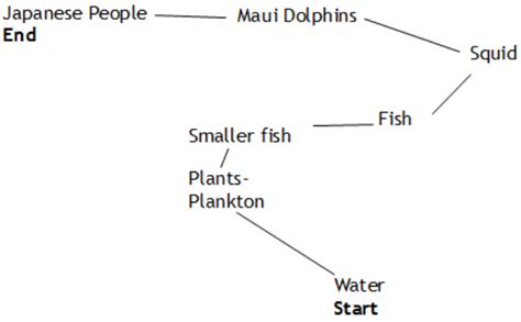 Food Chains - Maui Dolphin Rescue :)