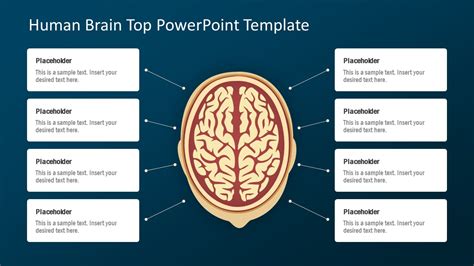 Brain Presentation Template