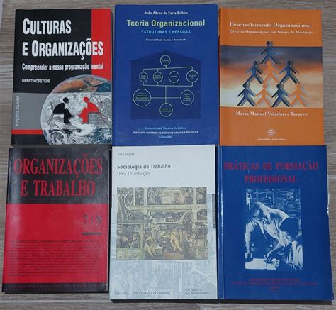 Livros T Cnicos Sobre Gest O De Recursos Humanos S O Domingos De Rana