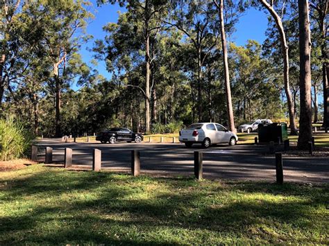 Grey Gum Picnic Area Sir Samuel Griffith Dr Mount Coot Tha Qld