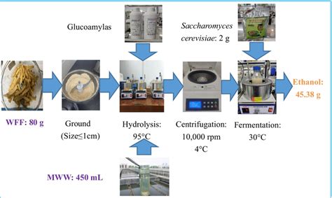 Mass Balance Sl 16 Of Bioethanol Generation From The Mixture Of Wff