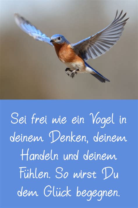 Lebensweisheiten Zitate Und Spr Che Ber V Gel