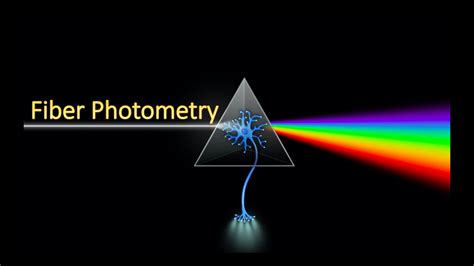 Fiber Photometry Youtube