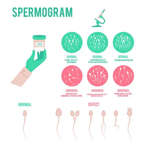 Sperm Morphology Chart