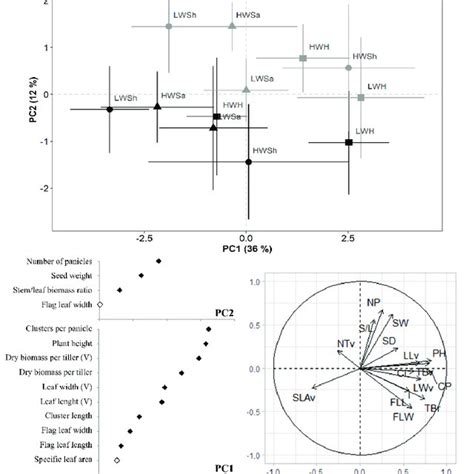 Principal Component Analysis Pca Of Plant Functional Traits In Download Scientific Diagram