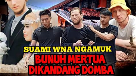 WNA ASAL AMERIKA DIBANJAR BUNUH MERTUA DEKAT KANDANG DOMBA YouTube