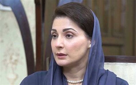 وزیراعلیٰ پنجاب مریم نوازکی سڑکوں کے اطراف ایک لاکھ درخت لگانے کی ہدایت