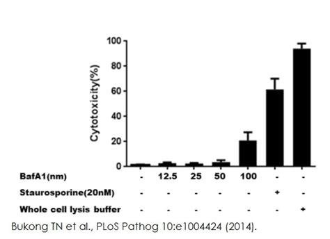 Ldh Assay Kit Cytotoxicity Ab65393k313 500 Abcam