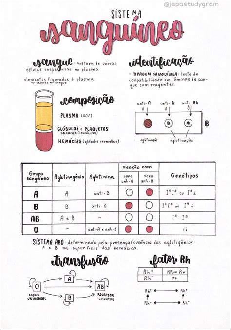 Mapas Mentais Sobre TIPAGEM SANGUINEA Study Maps