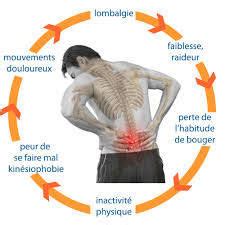 La Lombalgie Chronique Expliqu Par Un Kin M Canisme Pr Vention