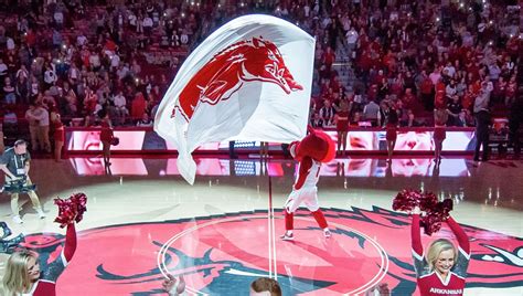 Razorback basketball men's and women's teams begin play Monday ...