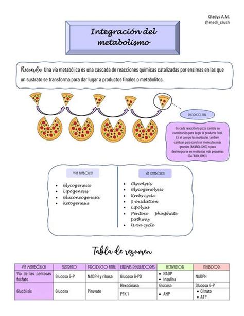 Integración Metabólica Gladys Guadalupe Azurdia Marroquín uDocz