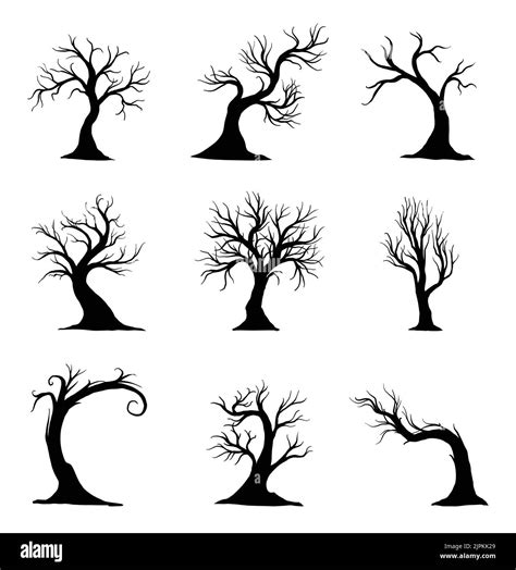 Black Willow Tree Trunk Stock Vector Images Alamy