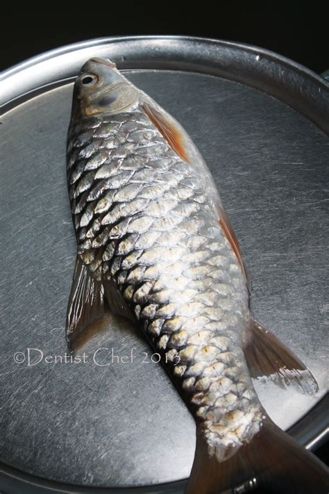 Resep Gulai Ikan Batak Ikan Semah Ikan Sapan Or Mahseer Fish