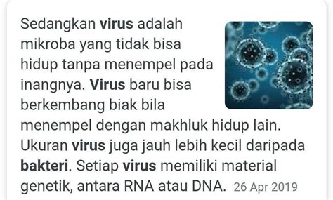 Apa Perbedaan Struktur Bakteri Dengan Virus Versus Beda