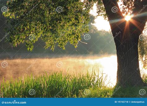 Misty Dawn Stock Photo Image Of Panorama Misty Nature 19743718