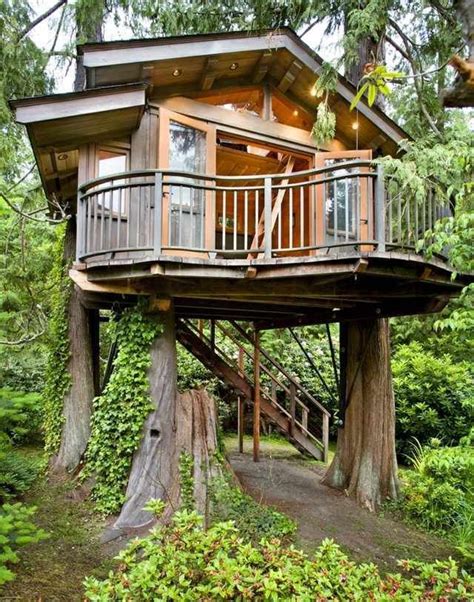 Cabane Design Dans Les Arbres 20 Inspirations Exquises Modern Tree