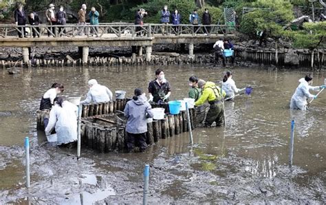 5月22日は、 国際生物多様性の日 港区 は2019年度、目指すべき環境のシンボル生き物として「カワセミ」を認定👏 2021年7月から区内に