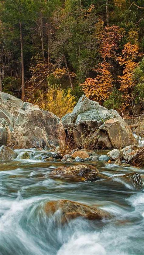 Bing Hd Wallpaper Oct Wild Scene On The Merced River Bing