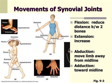 Concept Map Synovial Joint Movements