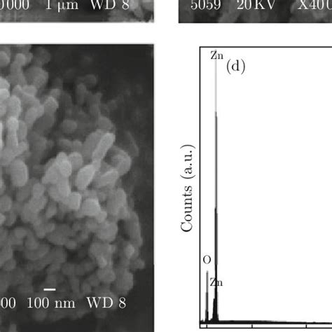 SEM And EDAX Analysis Of ZnO Nanoparticles Obtained From 30 MM NaHCO3