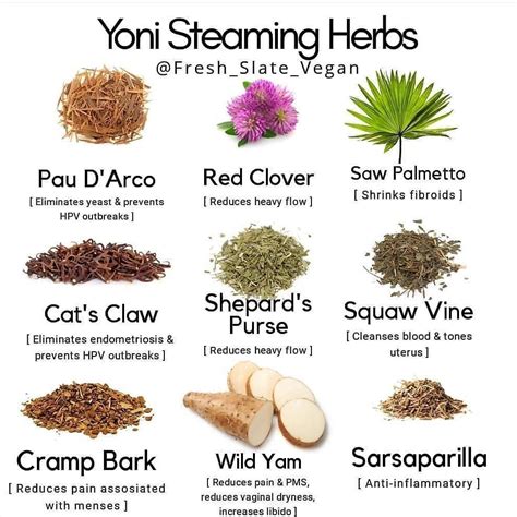 Try Yoni Steaming With These Herbs Or Steeping Them Into A Tea Yoni