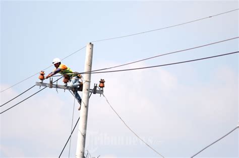 Petugas Pln Melakukan Pemeliharaan Jaringan Listrik Foto