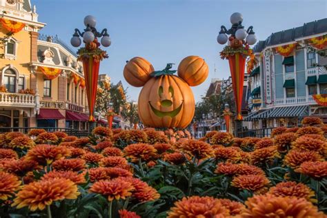 Halloween Must Dos At Disneyland And Walt Disney World Travel Channel