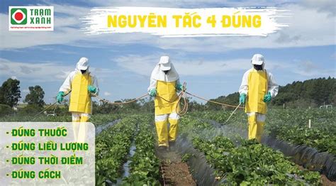 Tổng Hợp Các Lợi ích Của Thuốc Bảo Vệ Thực Vật Và Nguyên Tắc 4 đúng Khi