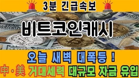 비트코인캐시 홍콩 인커버스 대규모 자금 유입 바로 00시간 폭등 확정 입니다비트코인캐시 비트코인캐시코인전망 비트