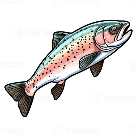 Trout Fish Illustration Jumping Fish Freshwater Sportfishing 26721396 Png