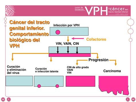 Ppt Cofactores Con El Vph En El Desarrollo Del C Ncer Powerpoint