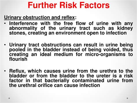 Ppt The Urinary System Powerpoint Presentation Free Download Id