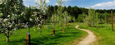 5 arbres fruitiers qui résistent au froid